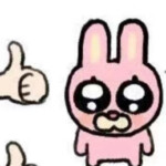 xin
