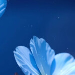 三分糖茉莉奶绿
