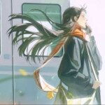试试就柿柿
