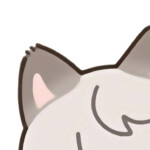 噼里啪啦猫