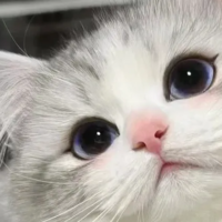 一一