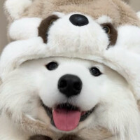 又立秋